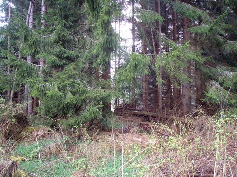 Foto 29
